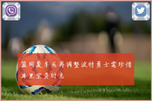篮网夏季或再调整波特勇士需珍惜库里宝贵时光