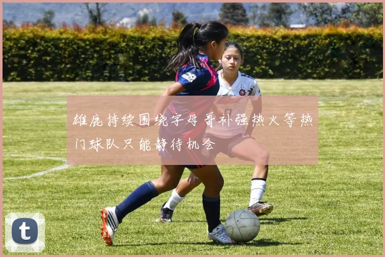 雄鹿持续围绕字母哥补强热火等热门球队只能静待机会